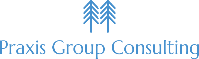 Praxis Group Consulting